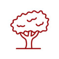 Tree Planting
