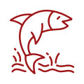 Ecological Pond